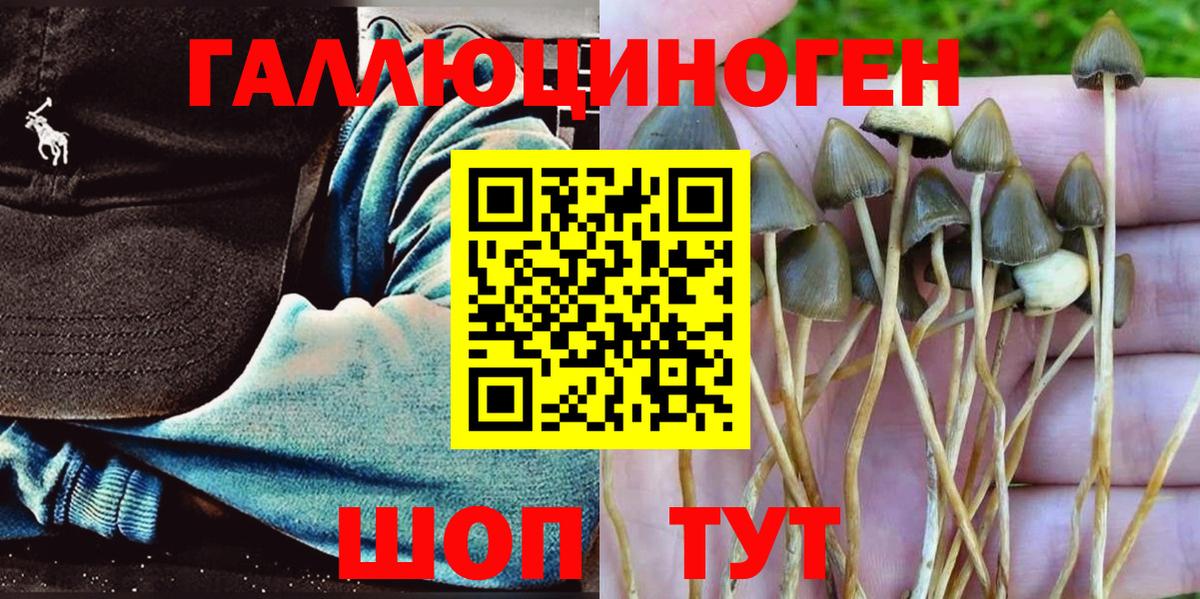 Вязники  Галлюциногенные грибы мицелий  наркота  Вход с VPN 